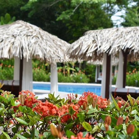 Espadilla Gardens Hotel Nationalpark Nationalpark Manuel Antonio Exterior foto